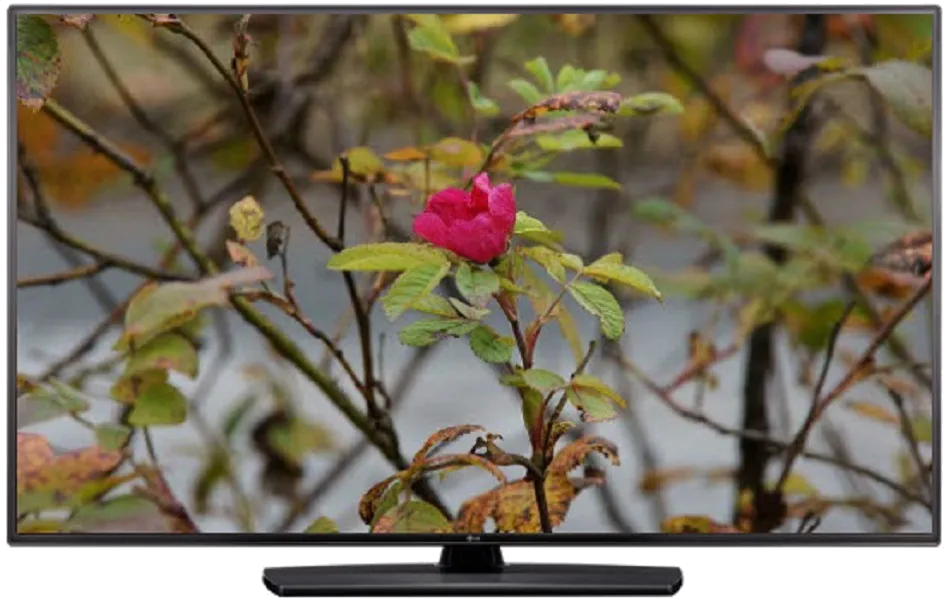 Замена модуля Wi-Fi LG 55LV541
